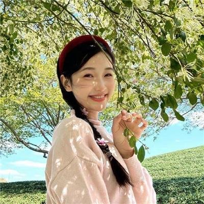 八面玲珑的申小姐
